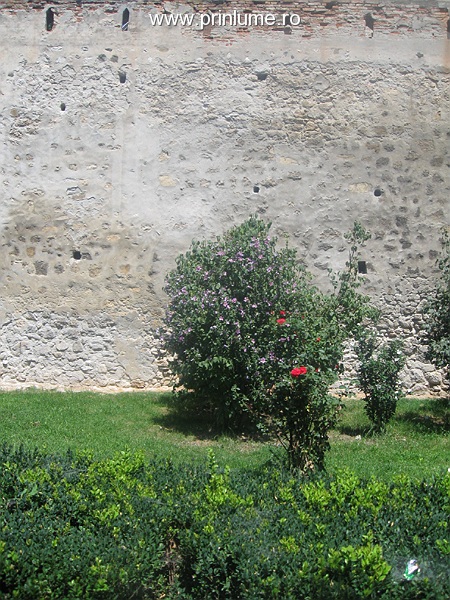 Cetatea Aiud - ziduri